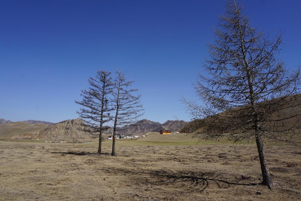 My Mongolia Eco Ger Camp Hotell Nalayh Exteriör bild